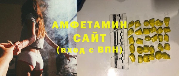 таблы Гусев
