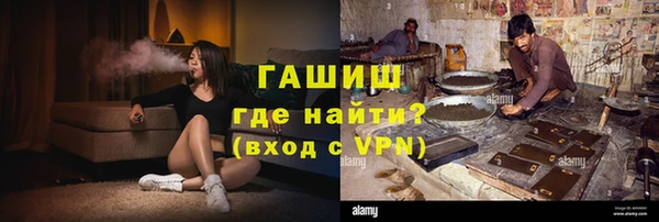 таблы Гусев