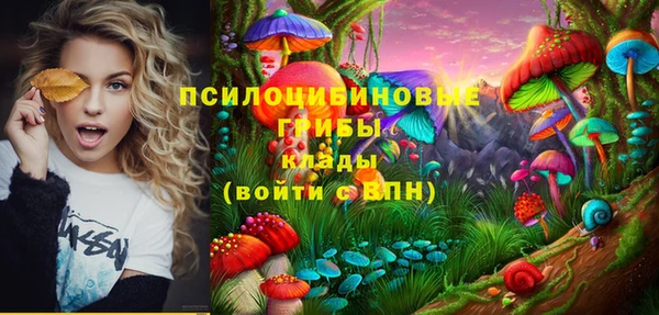 первитин Гусиноозёрск