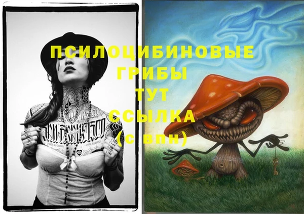 прущая мука Гусь-Хрустальный