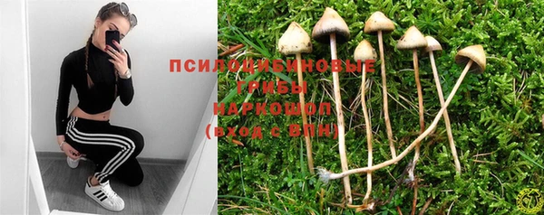 первитин Гусиноозёрск