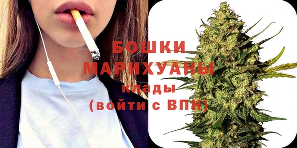 таблы Гусев